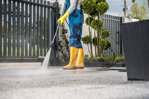 Best Paint Preparation  in Akron, NY